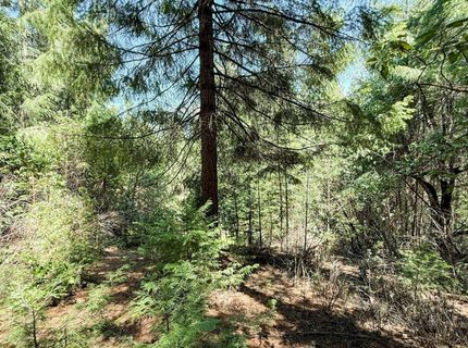 18910 Circle View, Pioneer, CA 95666 Photo