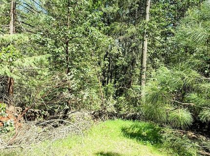 18910 Circle View, Pioneer, CA 95666 Photo