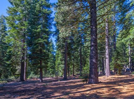 10830 Cairncroft Lane, Truckee, CA 96161 Photo