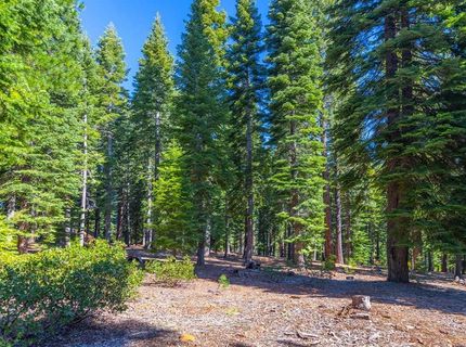 10830 Cairncroft Lane, Truckee, CA 96161 Photo