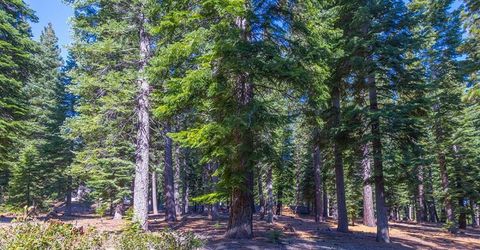 10830 Cairncroft Lane, Truckee, CA 96161 Photo