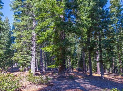 10830 Cairncroft Lane, Truckee, CA 96161 Photo