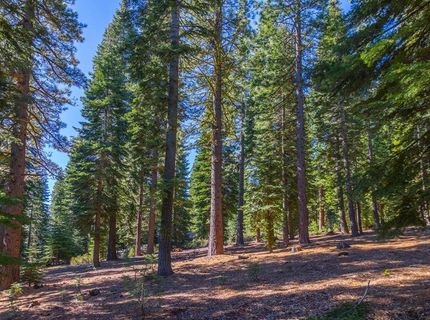 10830 Cairncroft Lane, Truckee, CA 96161 Photo