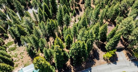 12972 Muhlebach Way, Truckee, CA 96161 Photo