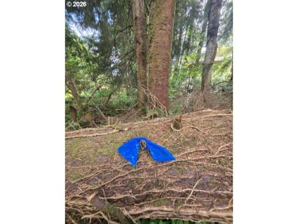2403/2410 Birch ST, Cannon Beach, OR 97110