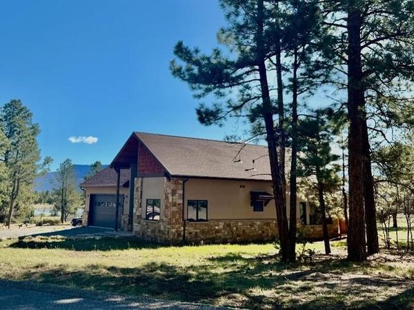 592 S Badger Trail, Ridgway, CO 81432