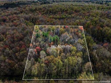 6799 Maplegrove Road , Vassar Twp, MI 48768