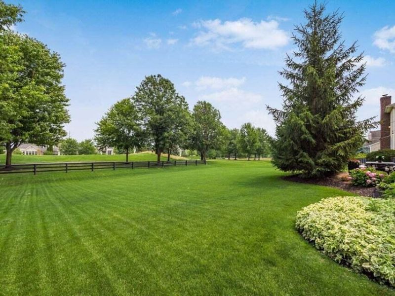 8351 Tricia Price Drive, Powell, OH 43065 Photo 41