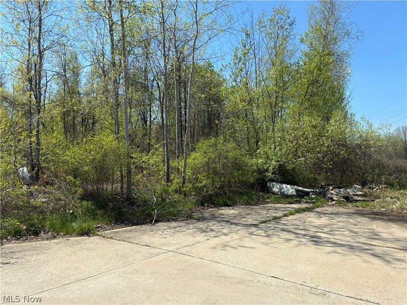 Sferra Avenue, Warren, OH 44483 Photo 1