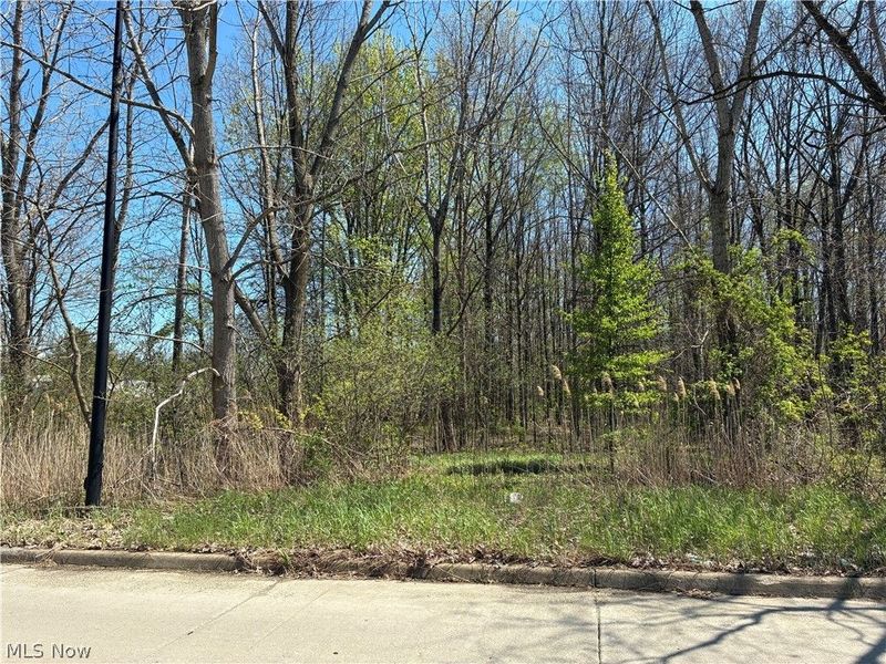 Sferra Avenue, Warren, OH 44483 Photo 1