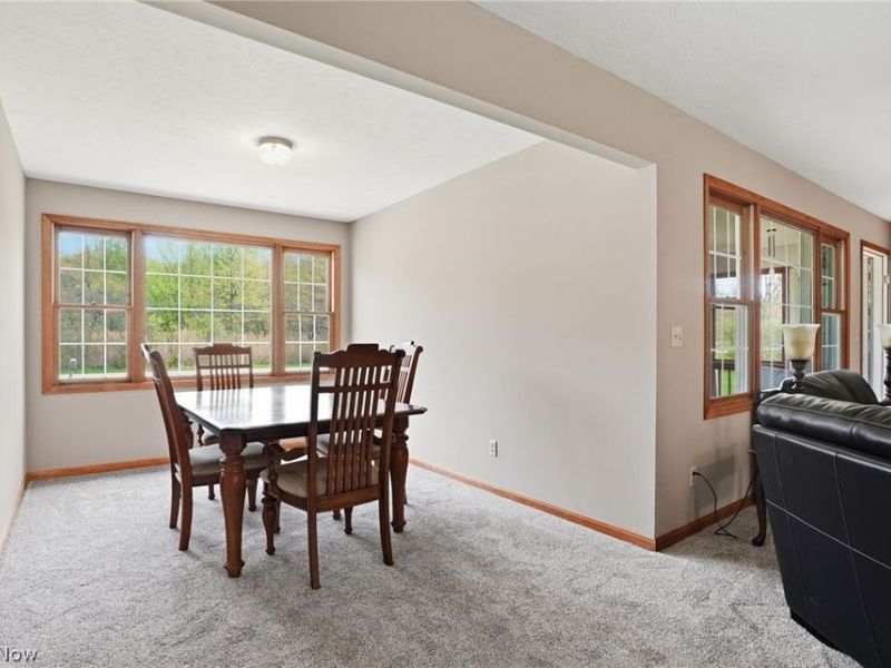 5246 Gore Road, Ashtabula, OH 44004 Photo 9
