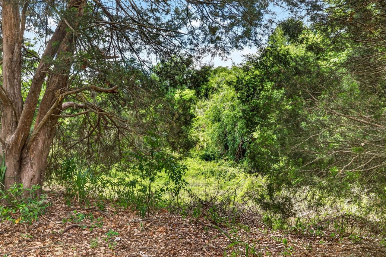 13205 Wagner Drive, Hudson, FL 34667 Photo