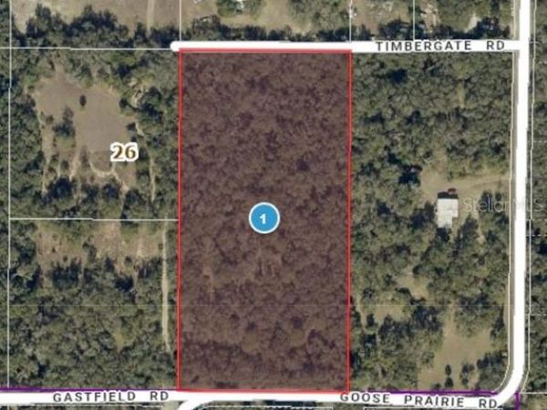10755 GOOSE PRAIRIE ROAD , LEESBURG, FL 34788