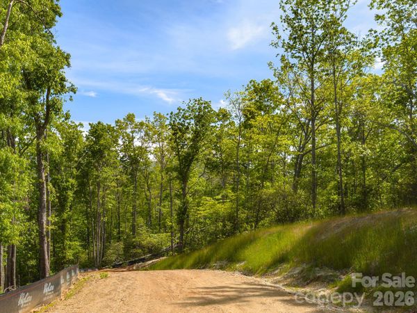 10.1 Acres on Old Fort Road , Fairview, NC 28730