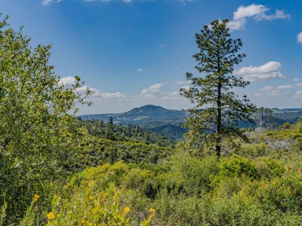 3155 Hawver Rd, San Andreas, CA 95249