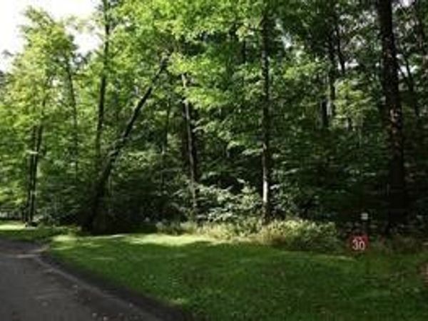 Lot # 30 Grouse Point , Champion, PA 15622