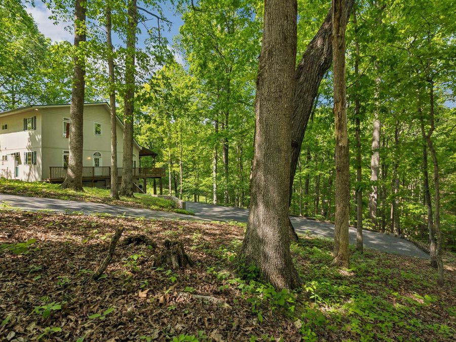 Property Image 41