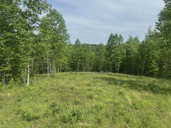 0 Freedom Ridge , Indian Mound, TN 37079