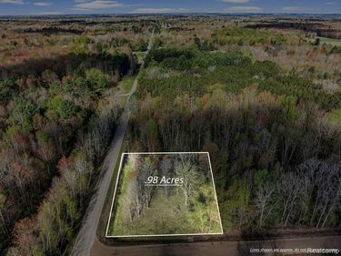 #0014 V/L Brown Road , Vassar Twp, MI 48768