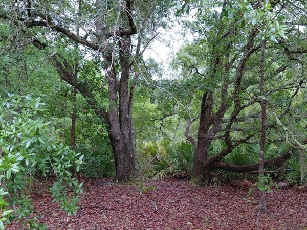 779 Ralph Davis Road, Unit 1 LAND LOT, Folkston, GA 31537
