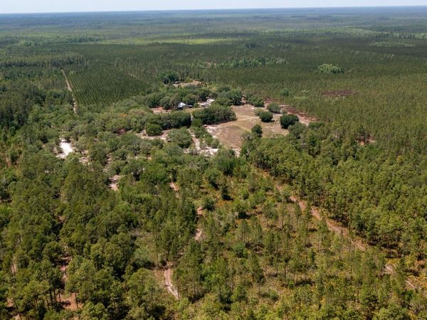 779 Ralph Davis Road, Unit 1 LAND LOT, Folkston, GA 31537