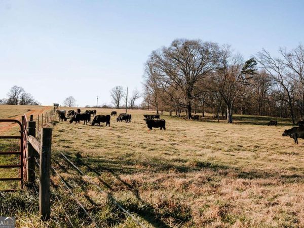 0 Ralph Bridges Road, Lexington, GA 30648