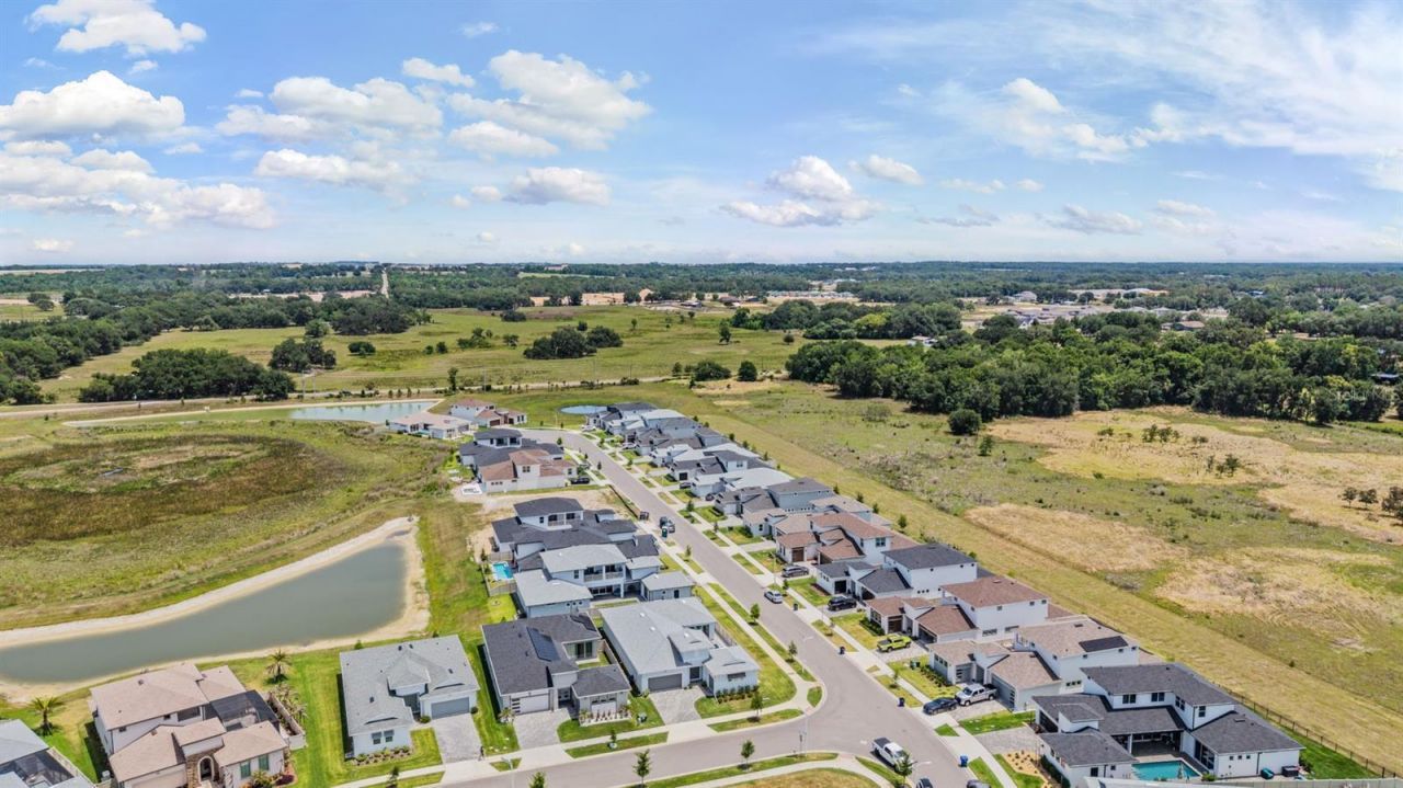 10470 Purple Thistle Way, San Antonio, FL 33576 Photo
