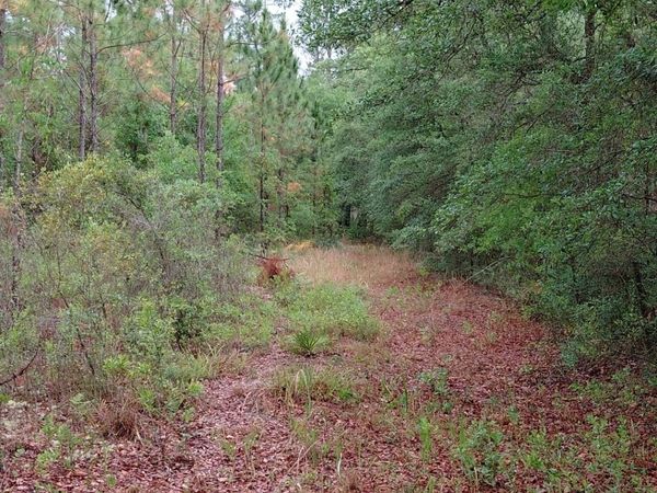779 Ralph Davis Road, Folkston, GA 31537