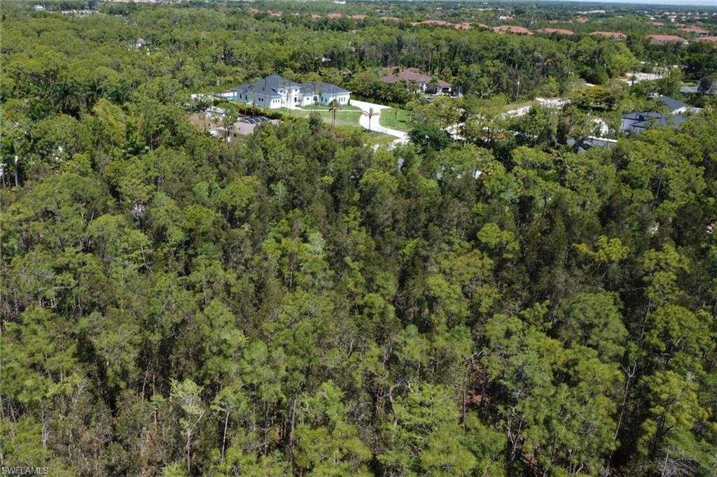 24265 Roger Dodger St , Bonita Springs, FL 34135 Photo