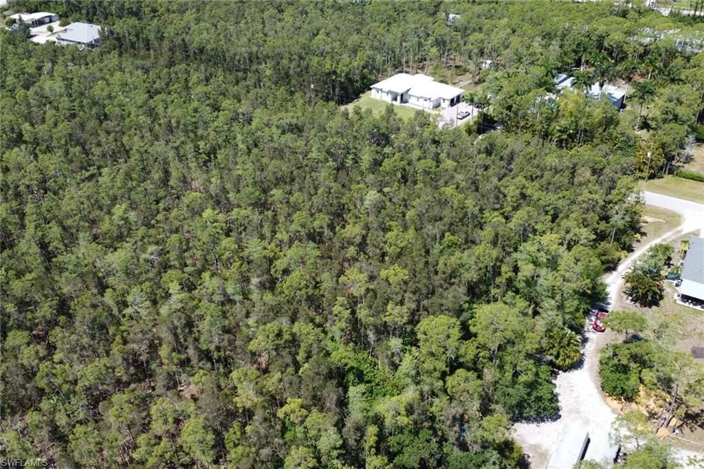 24265 Roger Dodger St , Bonita Springs, FL 34135 Photo