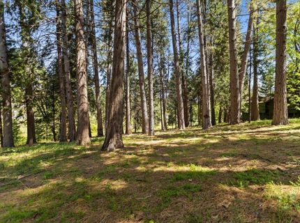 12609 Oak Cir, Grass Valley, CA 95945 Photo