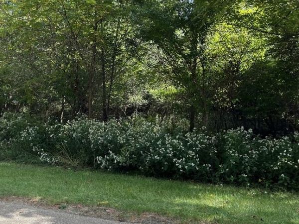 306 Platte Drive , Dixon, IL 61021