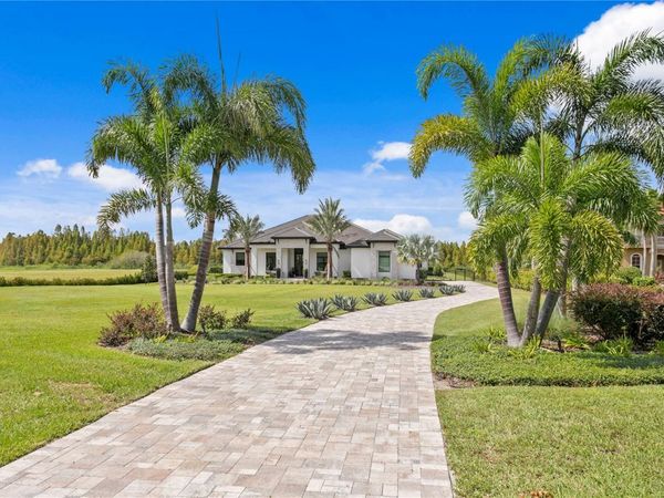 10521 BROADLAND PASS , THONOTOSASSA, FL 33592