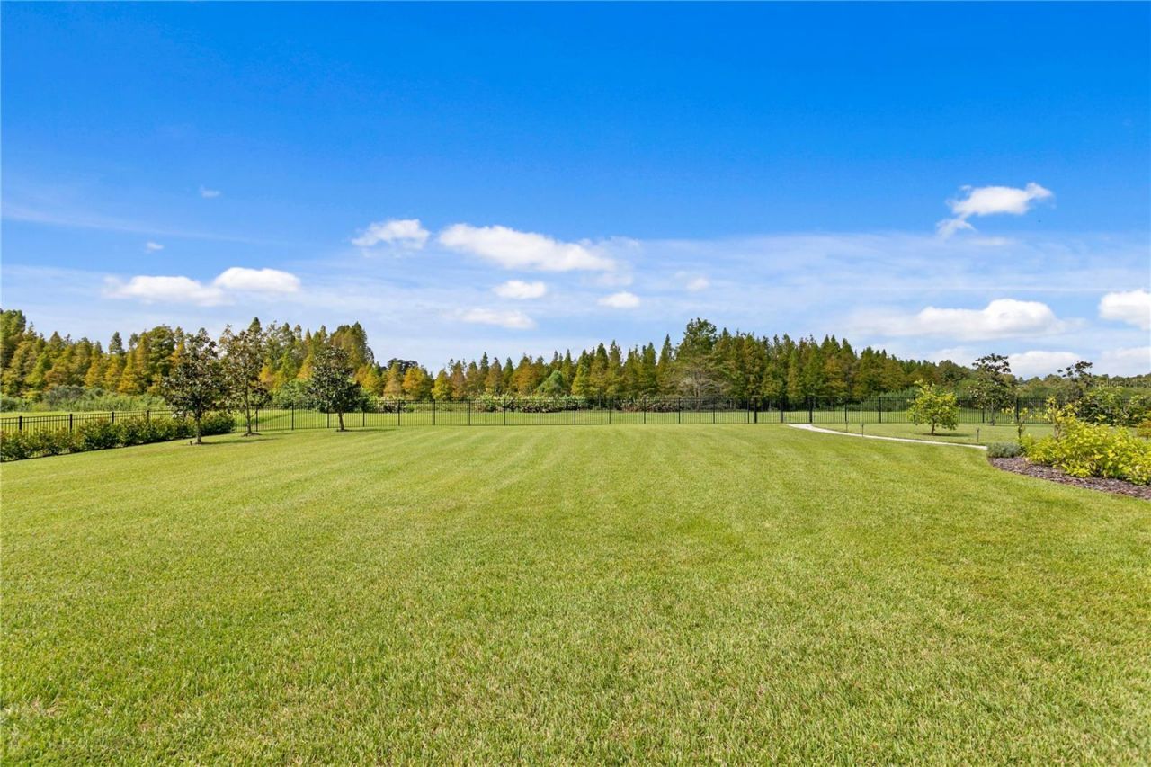 10521 Broadland Pass, Thonotosassa, FL 33592 Photo