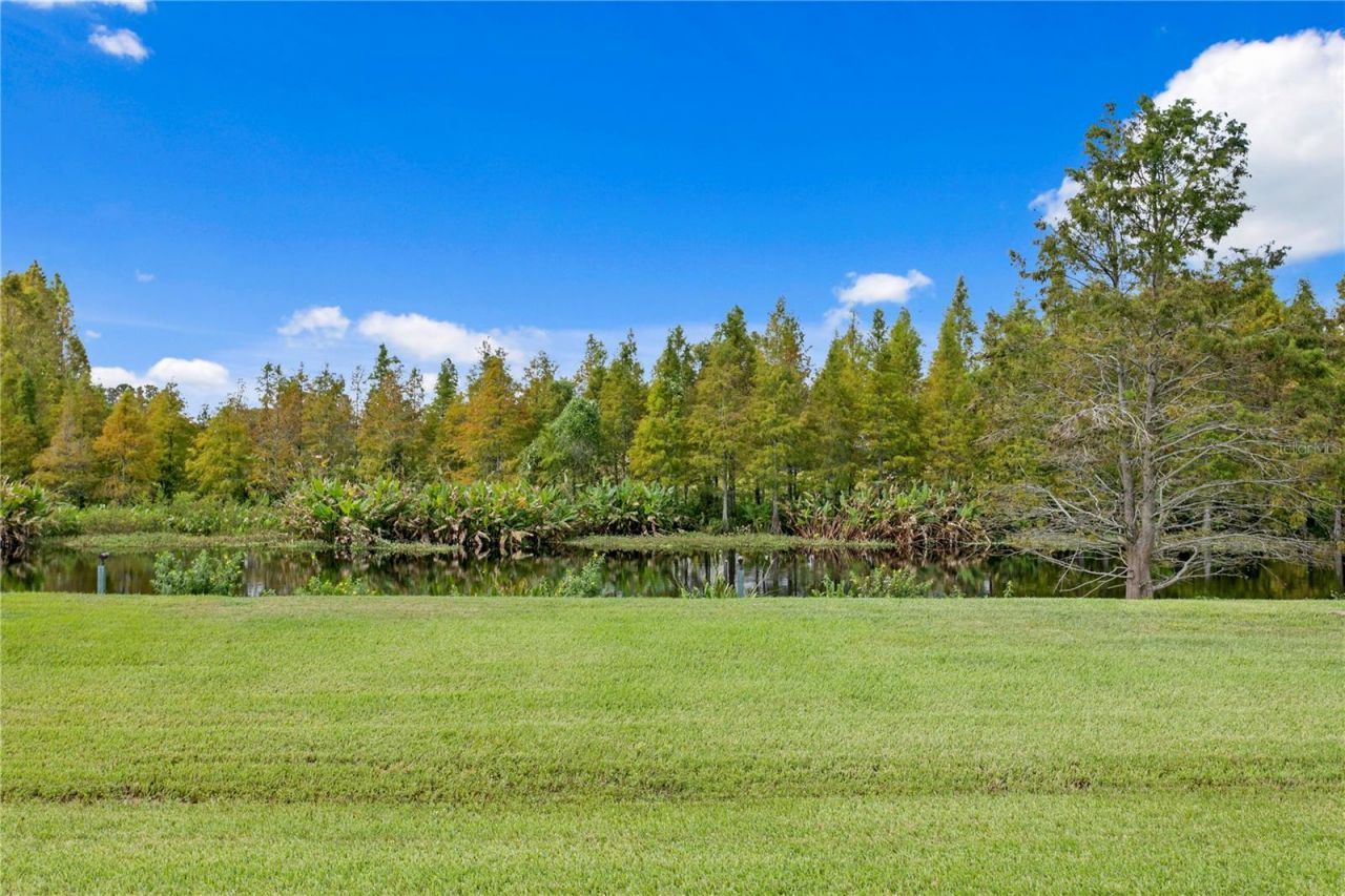 10521 Broadland Pass, Thonotosassa, FL 33592 Photo