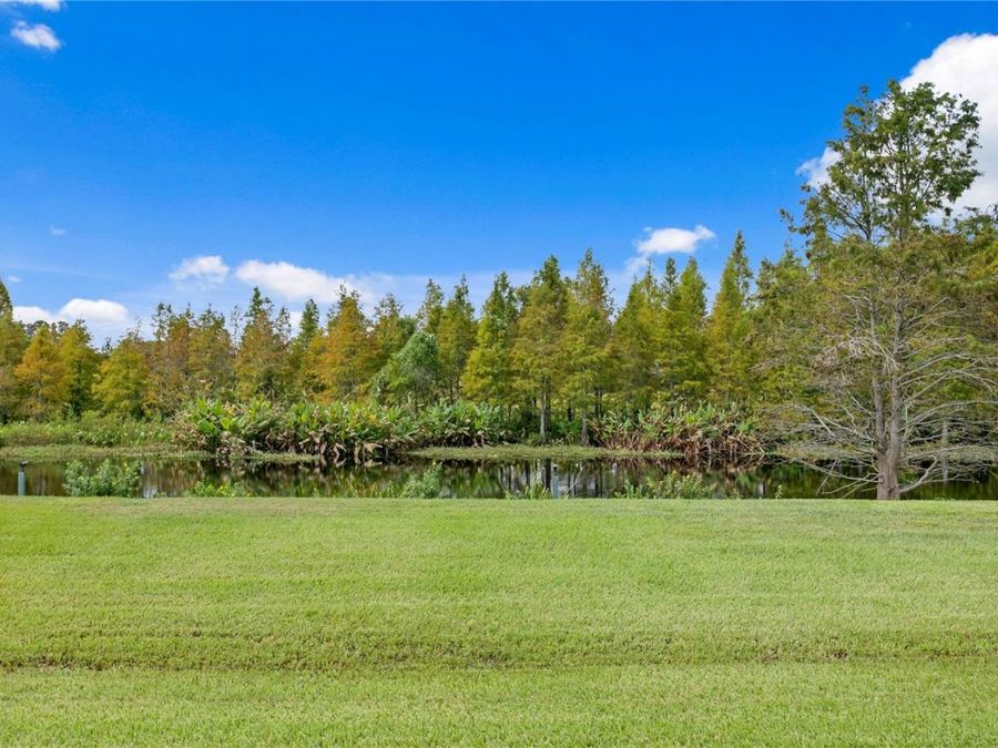 Property Image 86