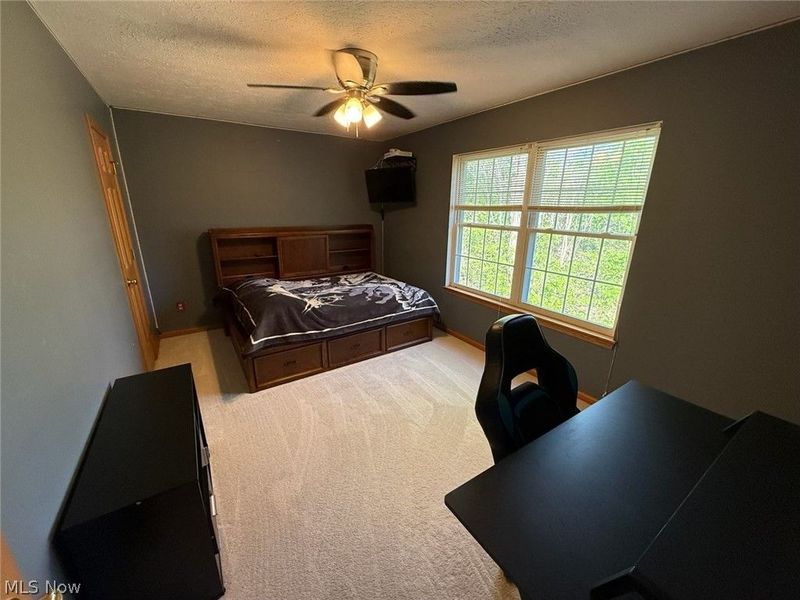 8780 Jackson Street, Mentor, OH 44060 Photo 18