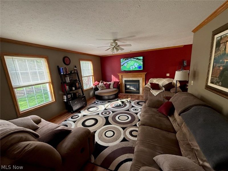 8780 Jackson Street, Mentor, OH 44060 Photo 4