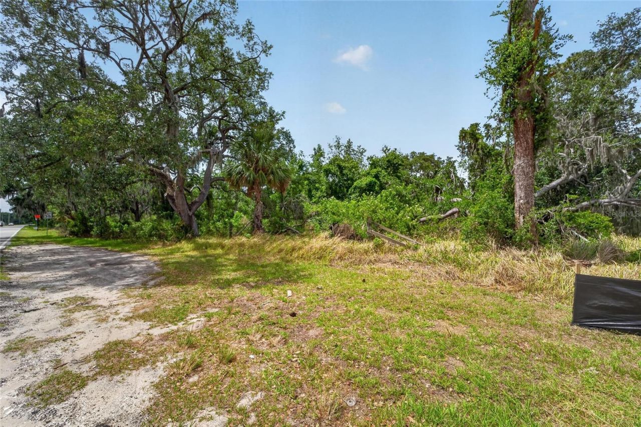 2819 Saffold Road, Wimauma, FL 33598 Photo