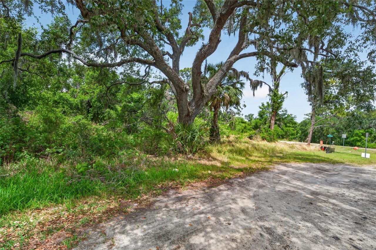 2819 Saffold Road, Wimauma, FL 33598 Photo