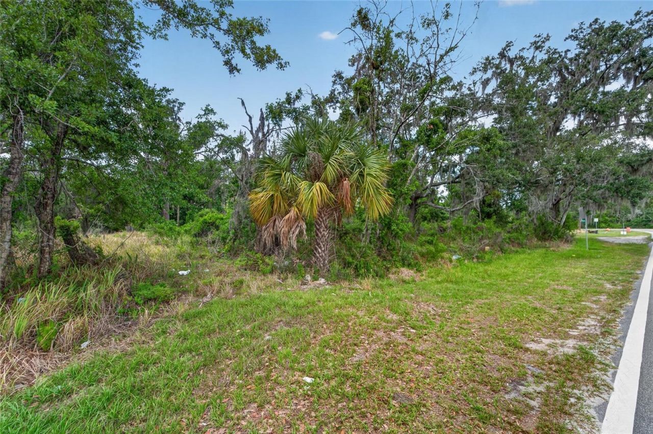 2819 Saffold Road, Wimauma, FL 33598 Photo