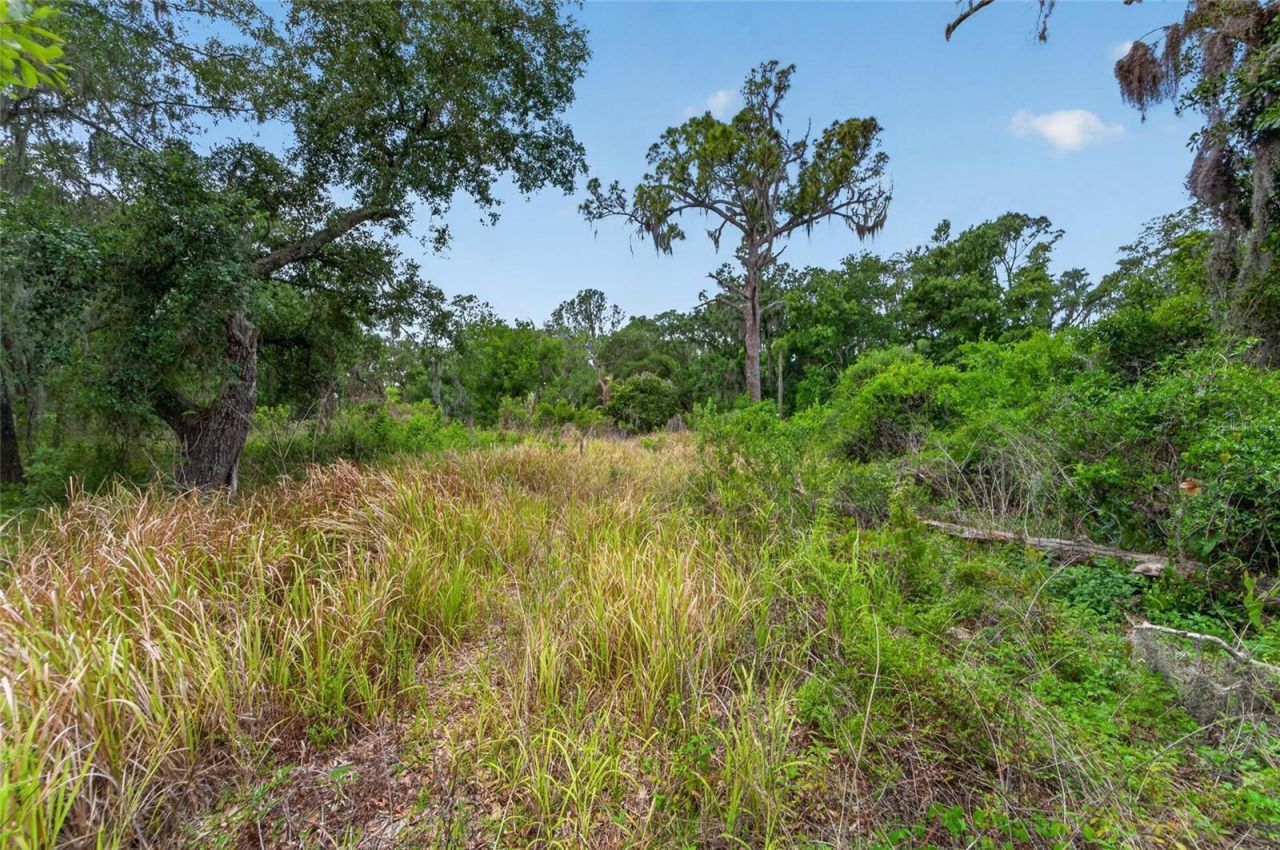 2819 Saffold Road, Wimauma, FL 33598 Photo