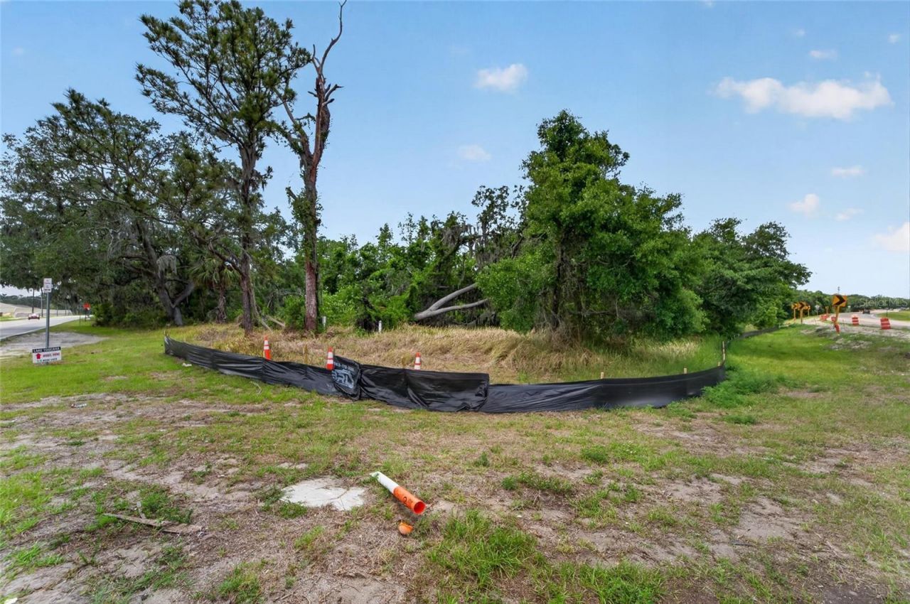 2819 Saffold Road, Wimauma, FL 33598 Photo