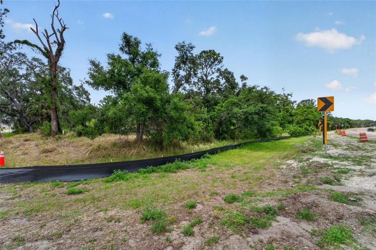 2819 Saffold Road, Wimauma, FL 33598 Photo