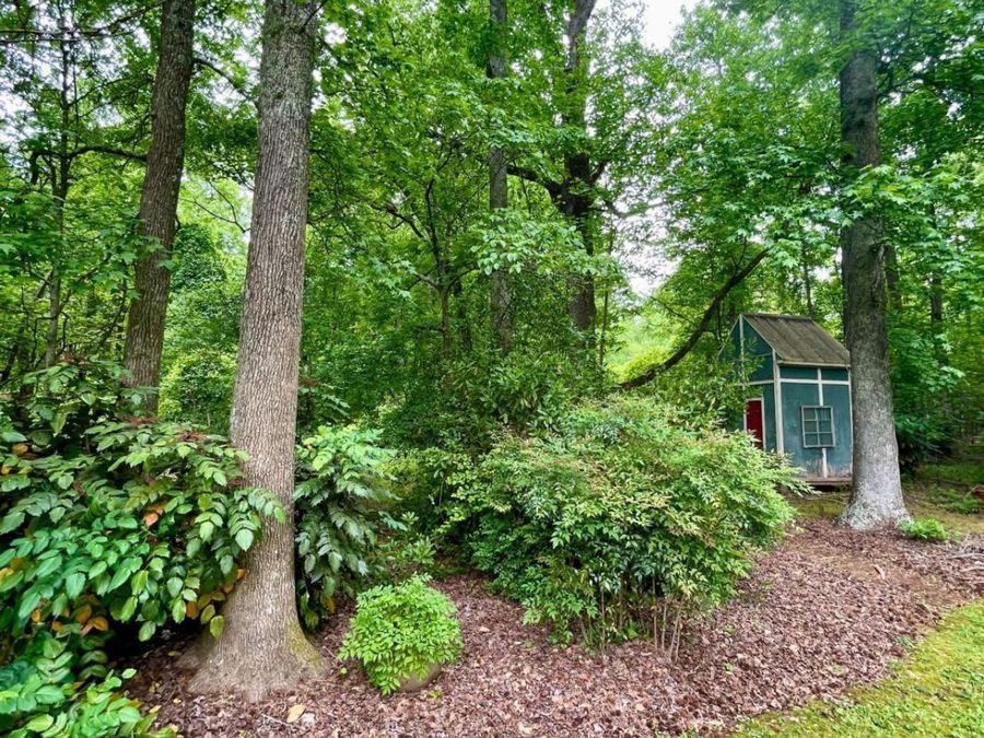 Property Image 46
