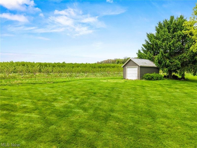 291 Co Rd 2000, Jeromesville, OH 44840 Photo 35