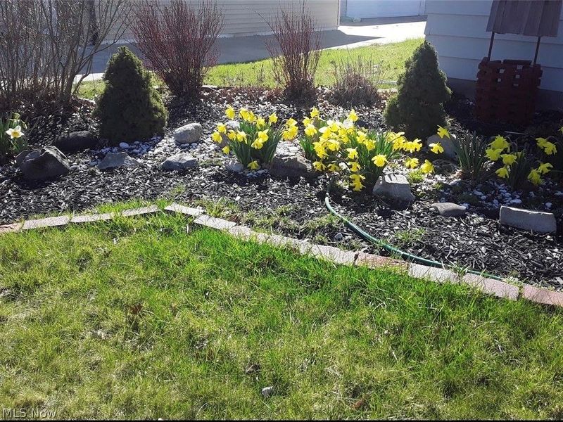 2014 Homewood Drive , Lorain, OH 44055 Photo 8