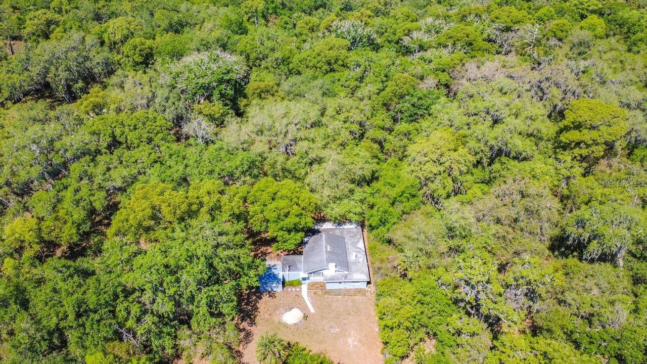 3508 Rouse Road, Orlando, FL 32817 Photo