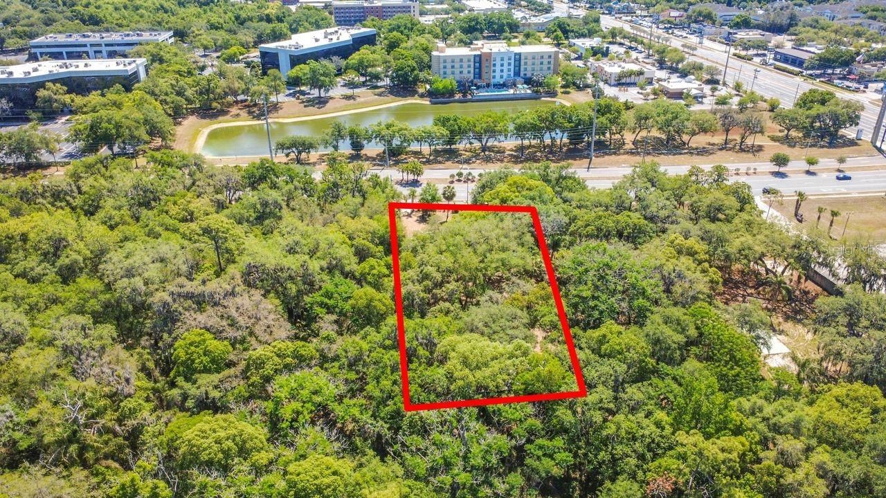 3508 Rouse Road, Orlando, FL 32817 Photo