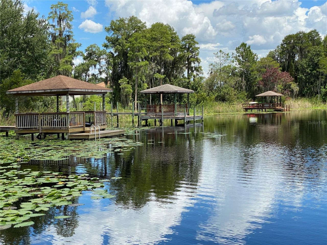 21430 Draycott Way, Land O Lakes, FL 34637 Photo
